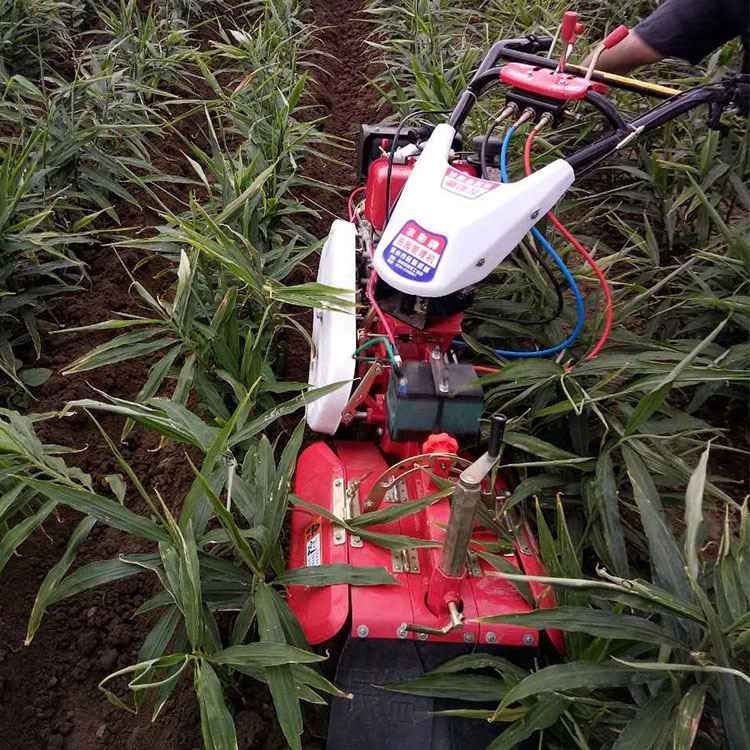 Grasmaaier